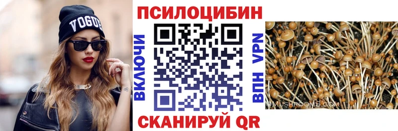 Купить закладки  Всеволожск  Псилоцибиновые грибы прущие грибы 
