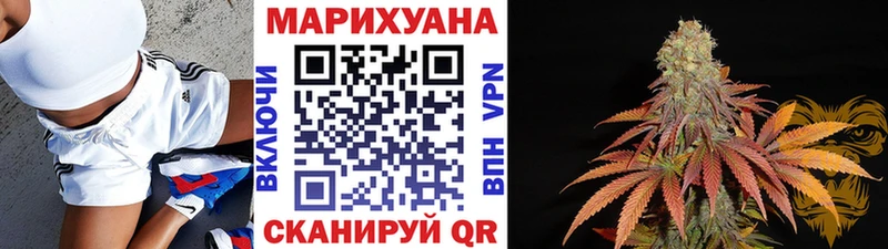 Бошки Шишки THC 21%  Купить закладки  Всеволожск 